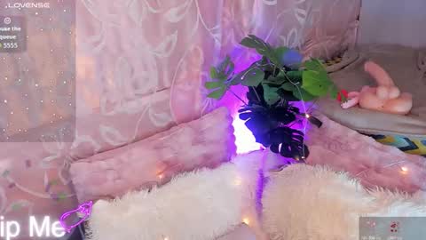 ARII VEGA online show from November 15, 5:05 am