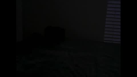 Snapshot of arkk_angel chatting on January 20, 10:51 am Arkk Angel online show from January 20, 10:51 am