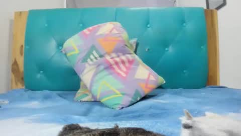 Snapshot of armanidark chatting on September 15, 2:11 am armanidark online show from September 15, 2:11 am