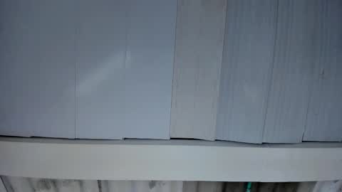 FENIX online show from November 25, 3:06 am