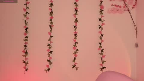 Snapshot of ashleyroys_111 chatting on May 5, 7:44 pm dahiana online show from May 5, 7:44 pm