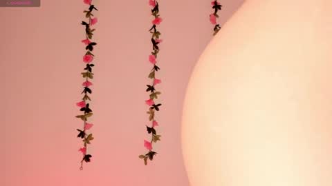 Snapshot of ashleyroys_111 chatting on May 6, 9:31 pm dahiana online show from May 6, 9:31 pm