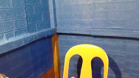 asian_decy online show from February 20, 2:30 am