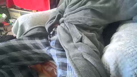 John online show from February 1, 10:26 am