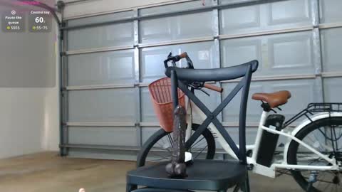 Snapshot of asianpina chatting on December 15, 3:55 am Anne online show from December 15, 3:55 am