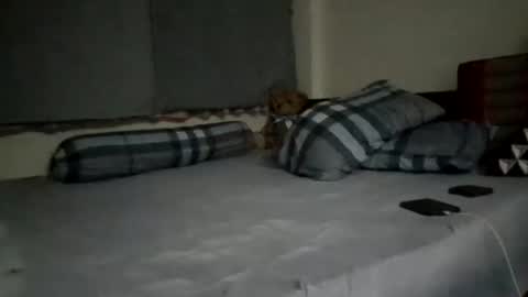 asianthai online show from September 21, 9:27 pm