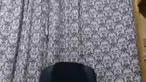 Snapshot of aslanne chatting on May 30, 9:45 pm aslanne online show from May 30, 9:45 pm