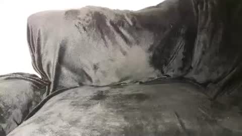 Snapshot of assiology11 chatting on March 12, 5:38 pm Assiology online show from March 12, 5:38 pm