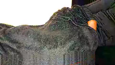 Snapshot of assiology11 chatting on March 12, 8:41 pm Assiology online show from March 12, 8:41 pm