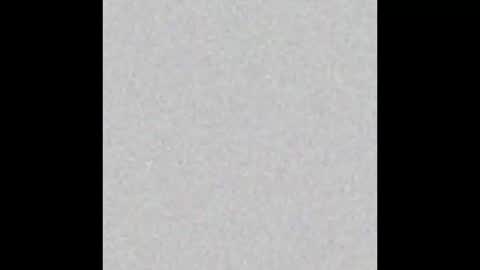 Carolina online show from March 27, 11:54 am