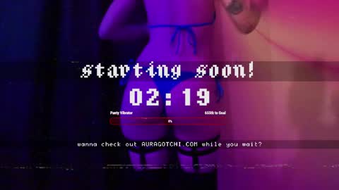 Snapshot of auragotchi chatting on May 11, 3:34 am Aurora Aura online show from May 11, 3:34 am