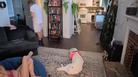 Aurora and Orion online show from November 3, 10:10 pm