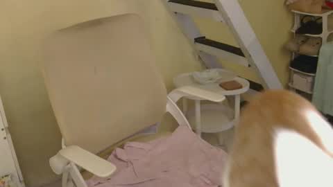 Snapshot of averageuncut1 chatting on February 16, 3:24 am Rhian online show from February 16, 3:24 am