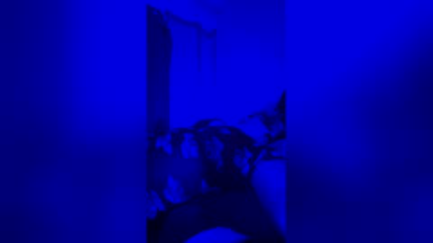 averyjay3 online show from May 6, 11:26 am
