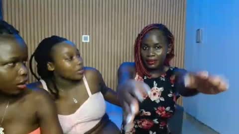 Avian online show from November 12, 4:07 pm