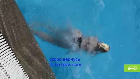 avr0ria online show from January 15, 5:34 am