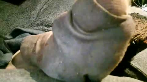 Snapshot of axelle_garcia chatting on November 7, 10:21 pm Axelle online show from November 7, 10:21 pm