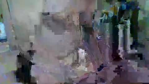 BERT online show from May 28, 5:43 pm