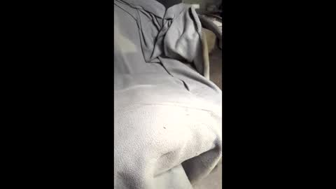 Snapshot of b4db0y chatting on March 7, 12:07 am b4db0y online show from March 7, 12:07 am