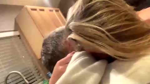 Snapshot of babyblues143 chatting on January 10, 1:53 am baby blues online show from January 10, 1:53 am