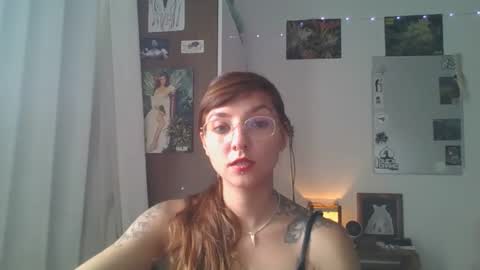 Snapshot of babydemon6 chatting on December 23, 5:54 pm babydemon6 online show from December 23, 5:54 pm