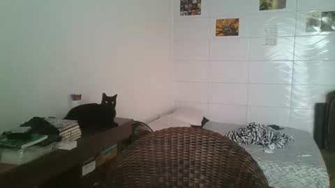 Snapshot of babydemon6 chatting on November 14, 6:50 pm babydemon6 online show from November 14, 6:50 pm