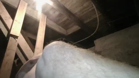 Snapshot of babyxxxangel chatting on September 20, 9:43 am babyxxxangel online show from September 20, 9:43 am