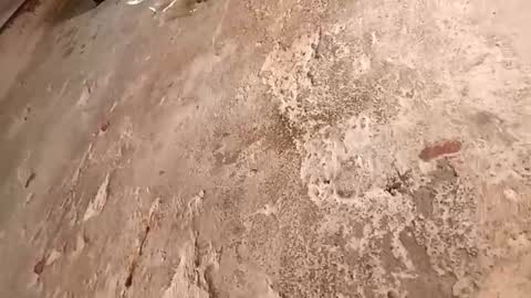 Megan online show from October 2, 9:22 pm