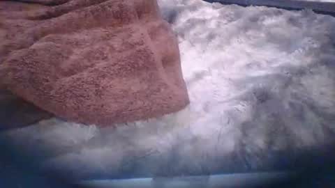 bacchusexx15 online show from March 30, 6:42 pm