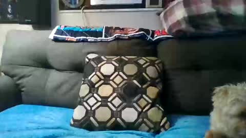 badcady0 online show from September 30, 3:22 am