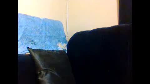 Lily. online show from December 3, 1:31 pm