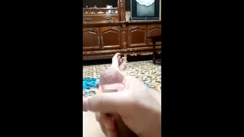 bahaa5555 online show from February 12, 4:18 am