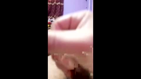 bahaa5555 online show from April 3, 3:32 pm