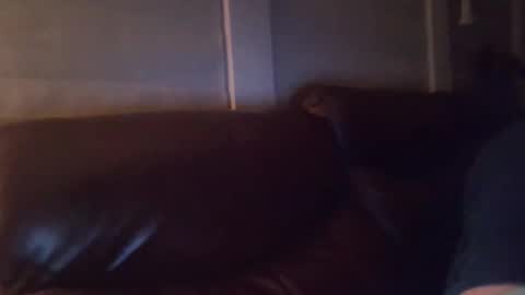 bake66999 online show from February 5, 6:18 am