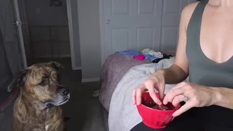 bambifarrina online show from January 18, 5:11 am