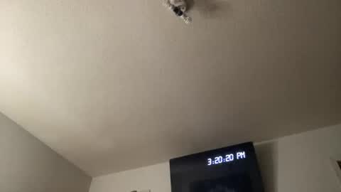 Chelly online show from March 25, 7:20 pm