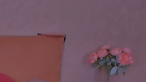 Snapshot of barbara_bb chatting on December 8, 3:32 am Barbie Kim online show from December 8, 3:32 am