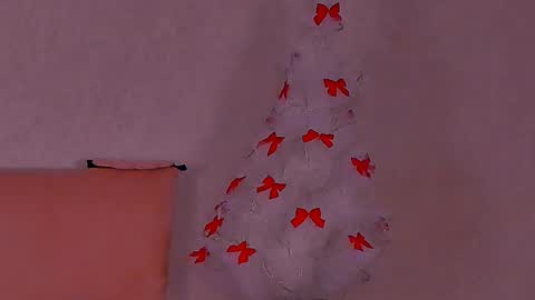 Snapshot of barbara_bb chatting on January 13, 1:45 am Barbie Kim online show from January 13, 1:45 am