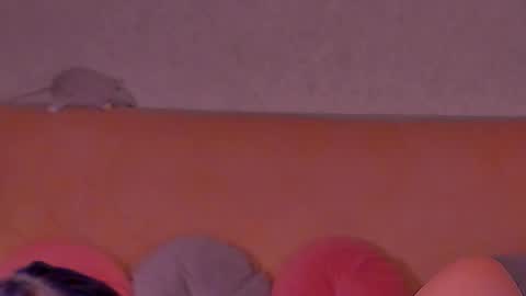 Snapshot of barbara_bb chatting on February 10, 5:25 am Barbie Kim online show from February 10, 5:25 am