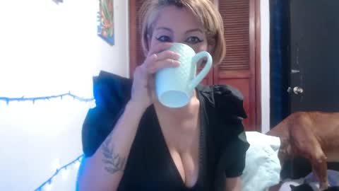 Snapshot of barbiemature chatting on May 28, 9:06 am barbiemature online show from May 28, 9:06 am