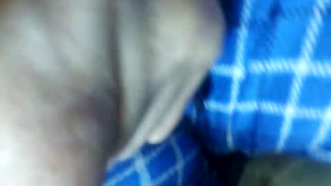 Snapshot of barbitall chatting on November 15, 3:08 pm barbitall online show from November 15, 3:08 pm