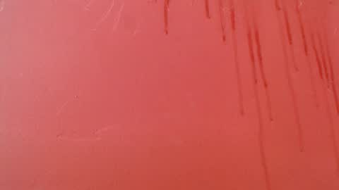 bayonette_black online show from November 8, 9:13 pm