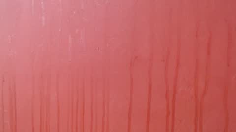 bayonette_black online show from December 3, 8:18 pm