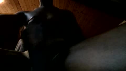 Snapshot of bbc4bearsndaddies chatting on June 2, 9:39 pm Ferdinandooo online show from June 2, 9:39 pm