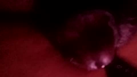 Snapshot of bcfalcon69 chatting on April 1, 3:18 am bcfalcon69 online show from April 1, 3:18 am