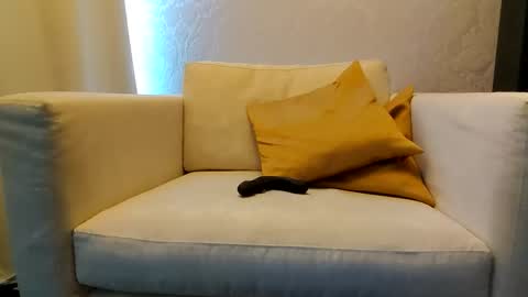 bd online show from February 9, 3:16 pm