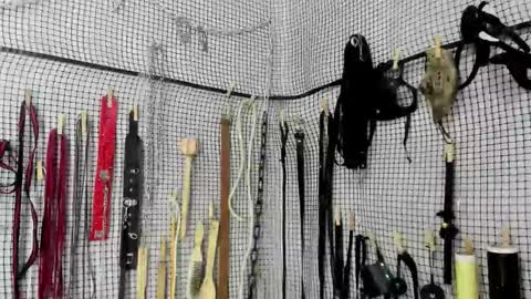 Meduza  online show from February 20, 6:26 am