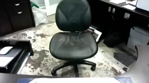 beagle1 online show from October 14, 12:00 am