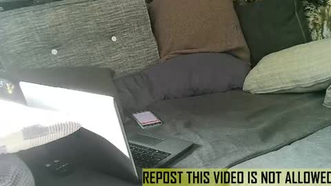 Snapshot of bearlov1 chatting on May 14, 7:26 am bearlov1 online show from May 14, 7:26 am