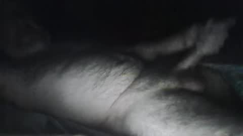 beastiejam2000 online show from January 31, 4:25 am